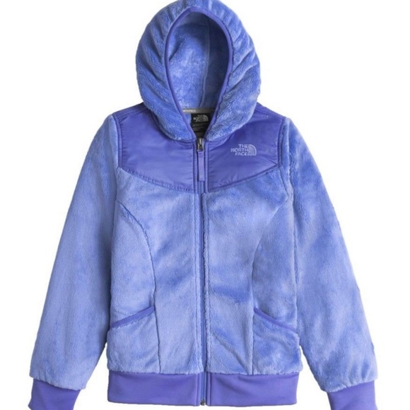 The North Face Other - SOLD NWT Girls North Face Oso Hoodie Jacket XL $99